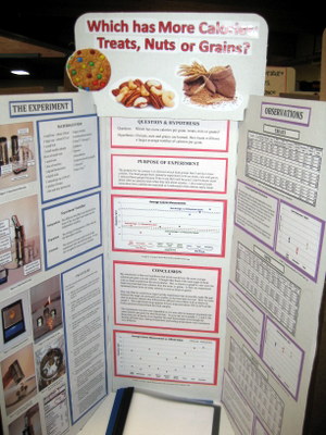 GRADES 5-8 DIVISION First Place: Erin Venegoni, “Which has More Calories: Treats, Nuts, or Grains?” Grade 5, Sts. Joachim and Ann School, St. Charles, MO.