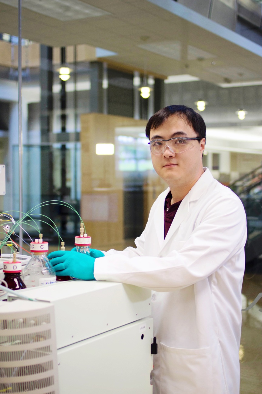 portrait: David Rhee