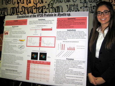 Rachael Neff, Wentzville Holt High School