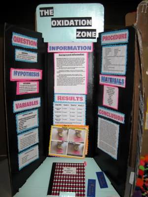GRADES 5-8 DIVISION Second Place: Samantha Beattie and Jayden Poston, “Oxidation Zone” Grade 5, Lakeview Elementary School, O'Fallon, MO.