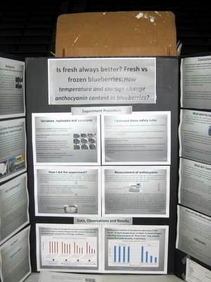 Division 6-8 First Place