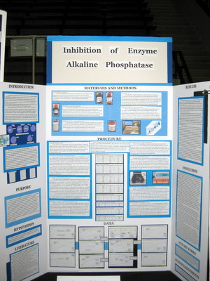 Division Honors 9-12 First Place