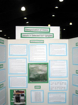 Division Honors 9-12 Third Place