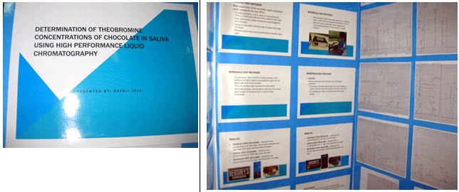 The 1st place honors poster by Ravali Inja