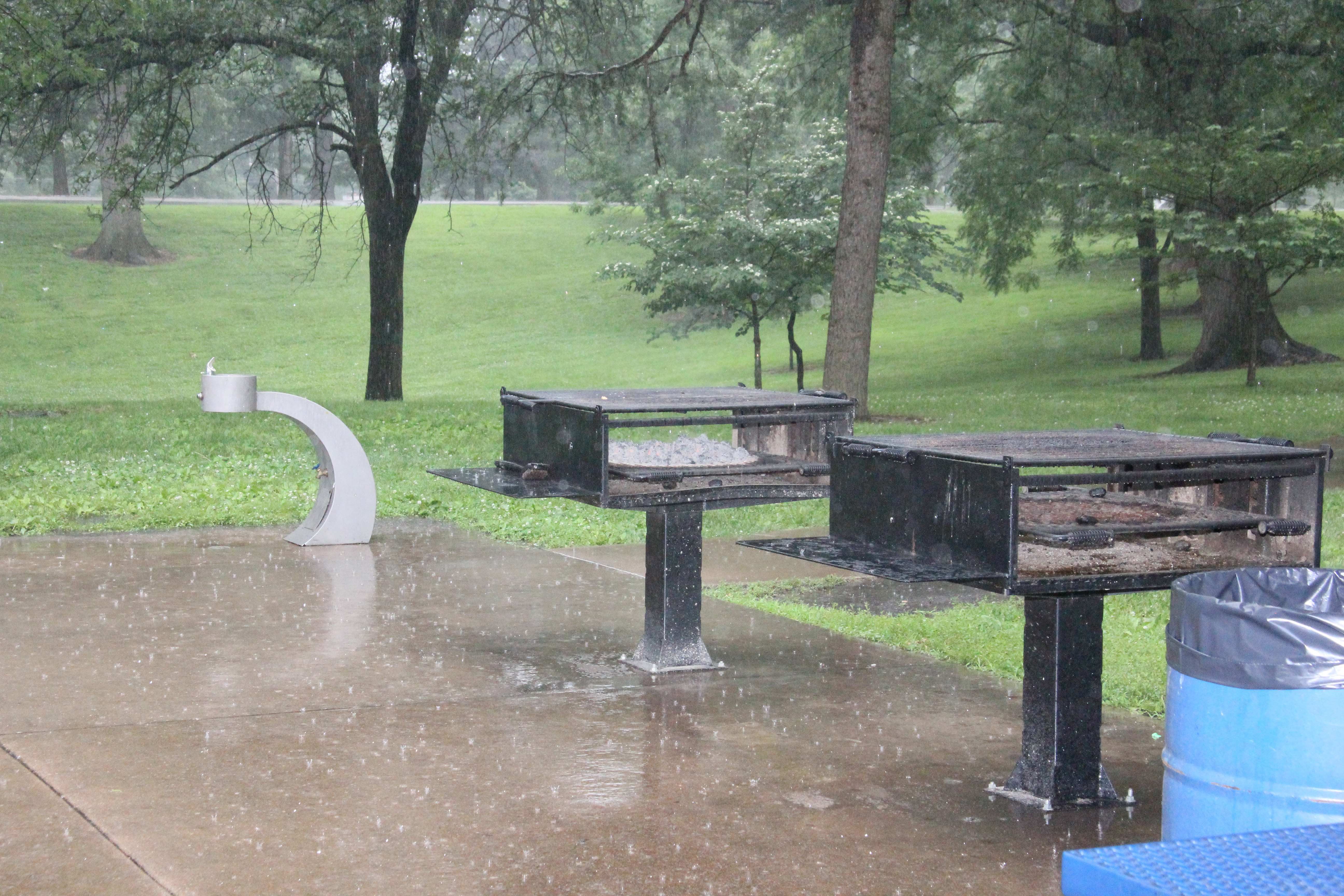 STL-ACS annual picnic 14 June 2015, rain did not stop a delicious BBQ!
